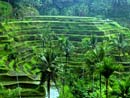 guida bali, guida bali faidate, italiano guida a bali, pacchetto tour a bali